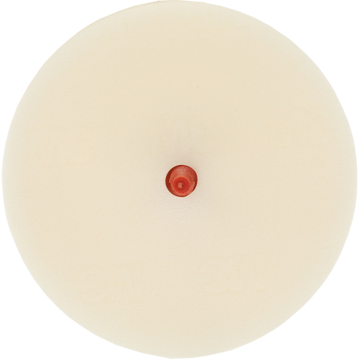 Scotch-Brite™ Moulding Adhesive & Stripe Removal Disc, 7501 - BP308