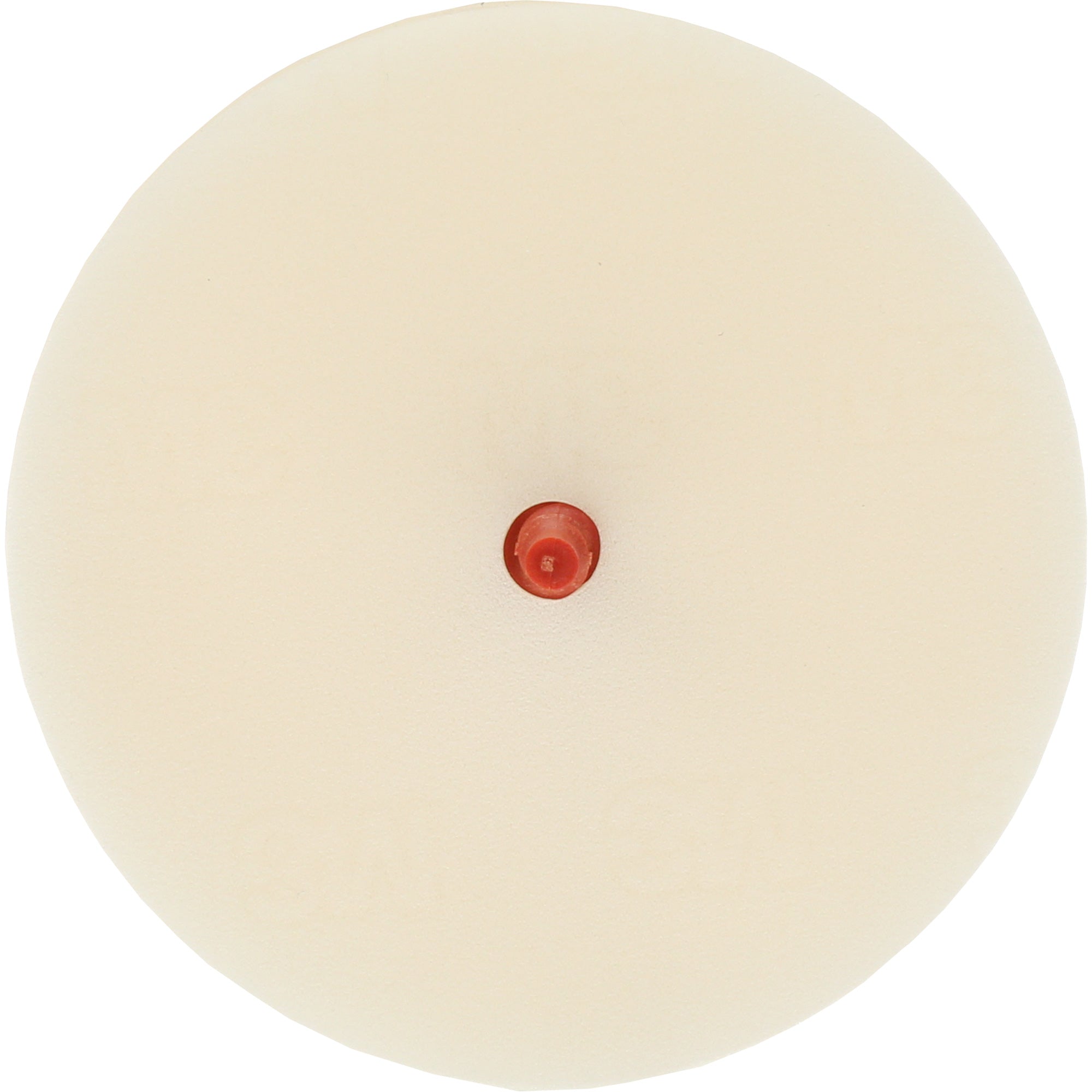 Scotch-Brite™ Moulding Adhesive & Stripe Removal Disc, 7501 - BP308
