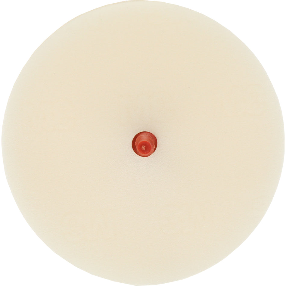 Scotch-Brite™ Moulding Adhesive & Stripe Removal Disc, 7501 - BP308