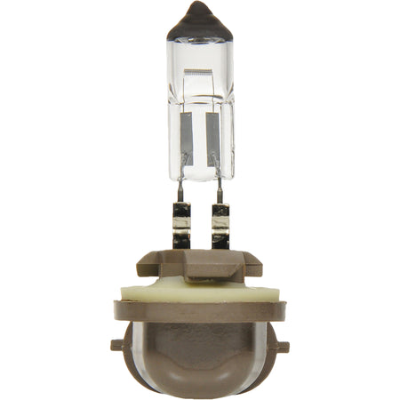 896 Basic Fog Light Bulb - FLT864