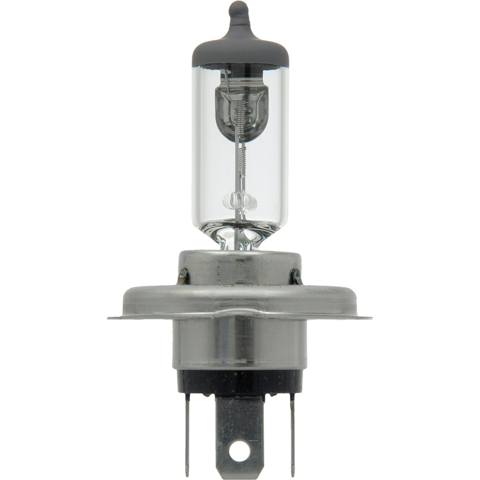 6419 Basic Automotive Bulb - FLT904