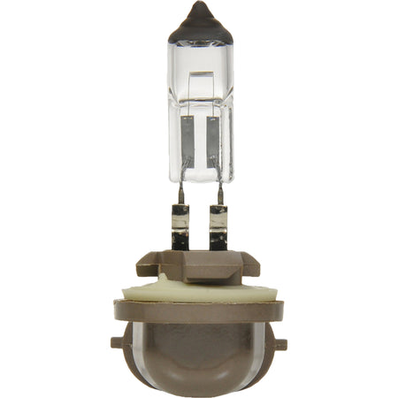 881 Basic Fog Light Bulb - FLT922