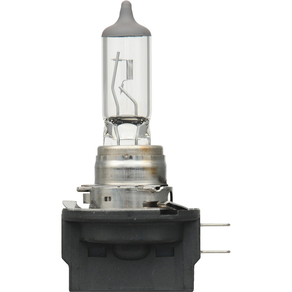 H11B Basic Headlight Bulb - FLT939