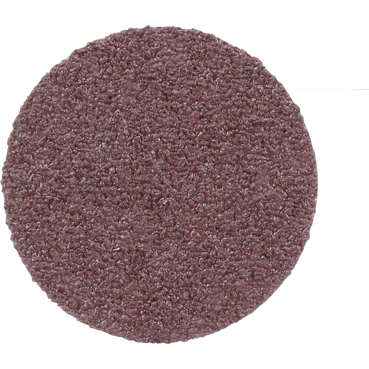Surface Conditioning Disc - NX488