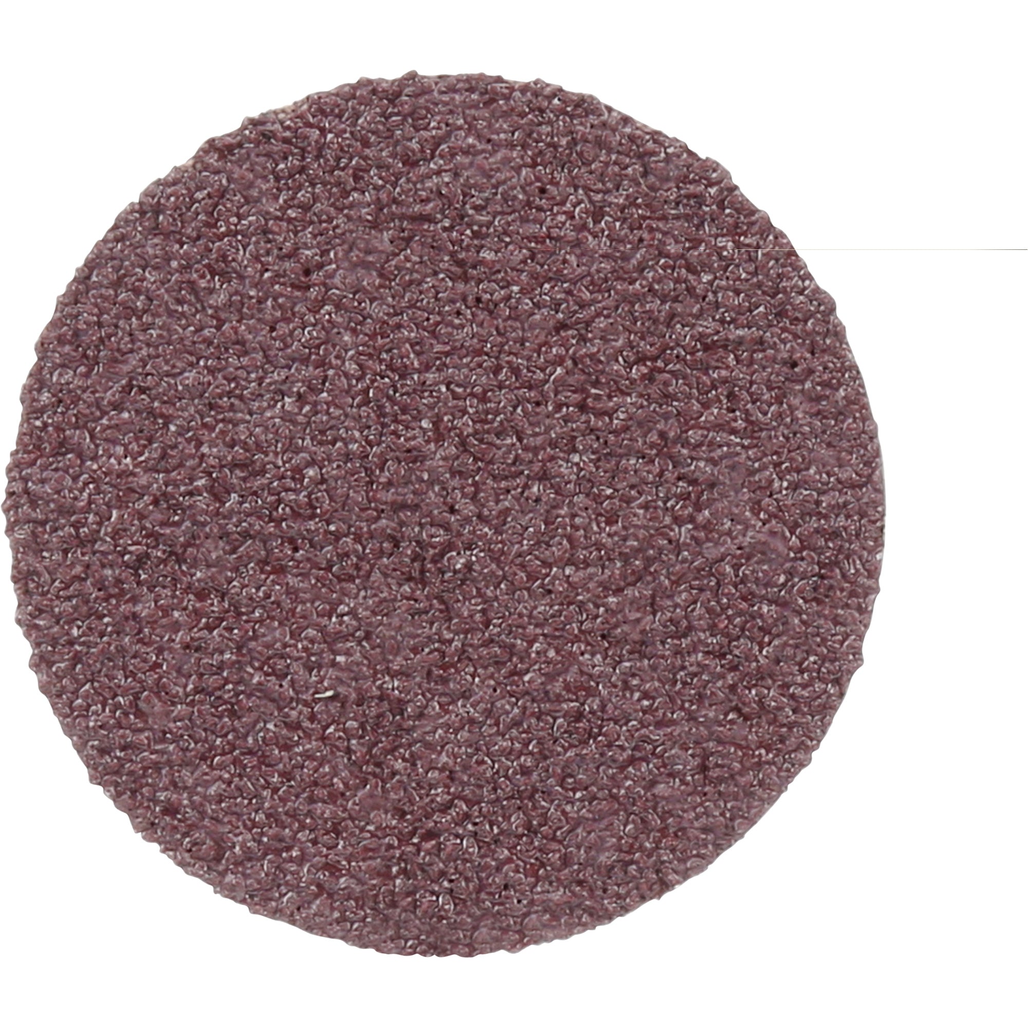 Surface Conditioning Disc - NX488