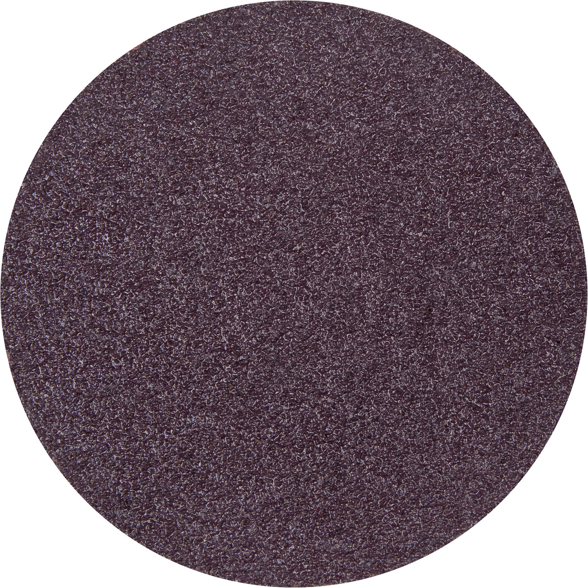 Metalite R228 Coarse Grit Cloth PSA Disc - NY263