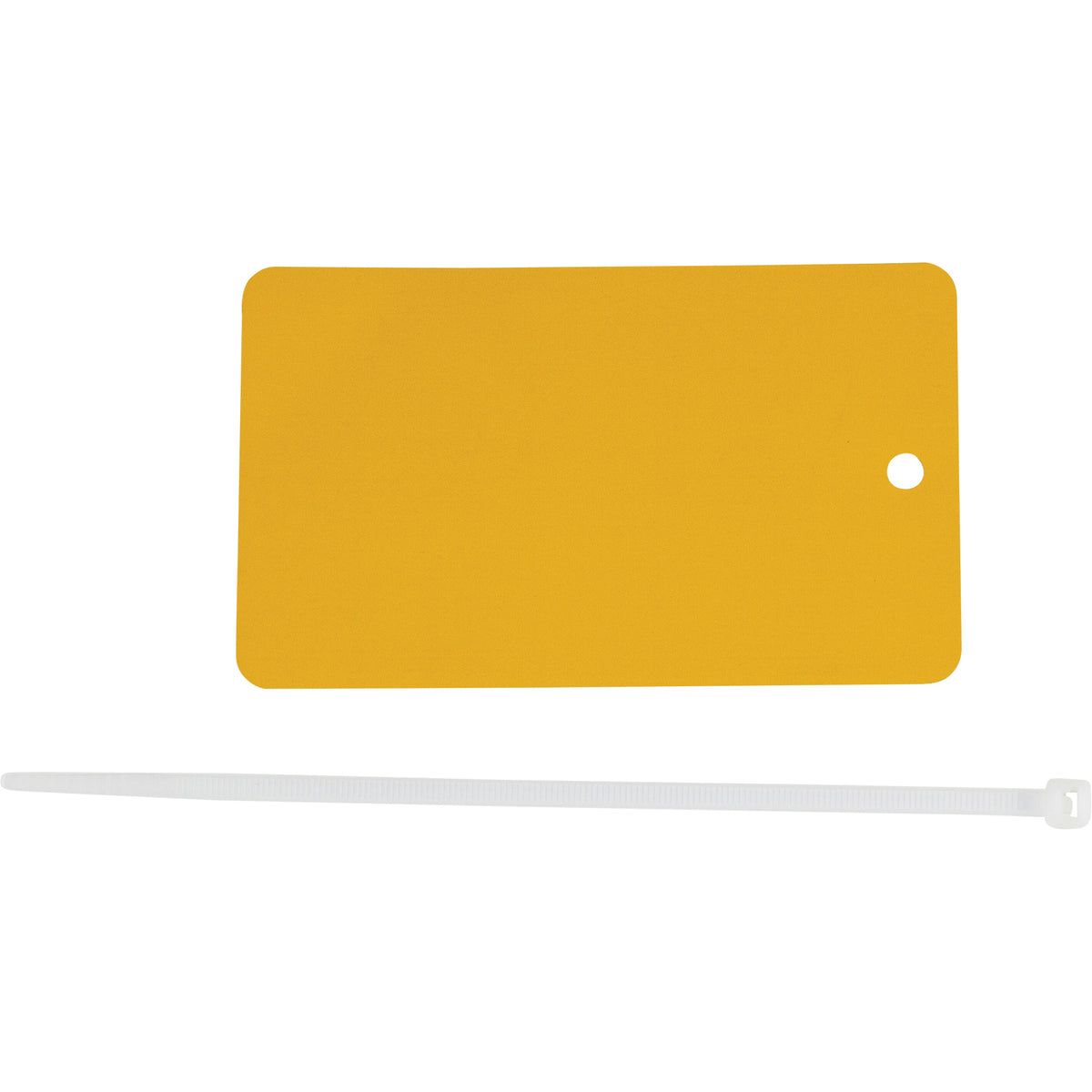 Blank Write-On Tag - SAD108