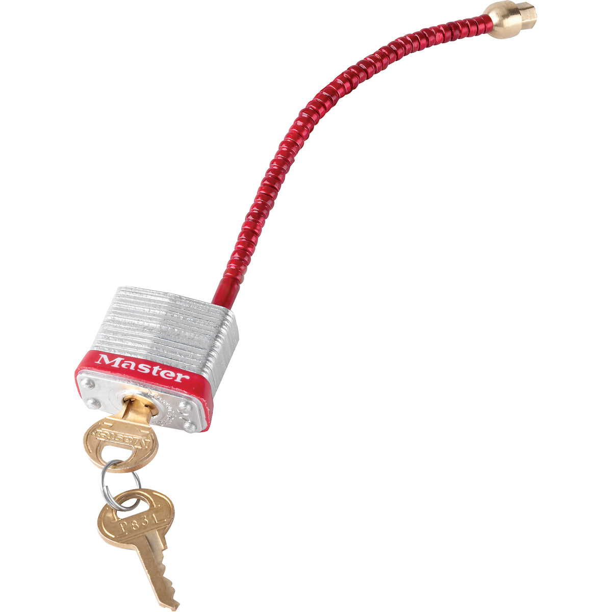 Switch Padlocks - SAL525