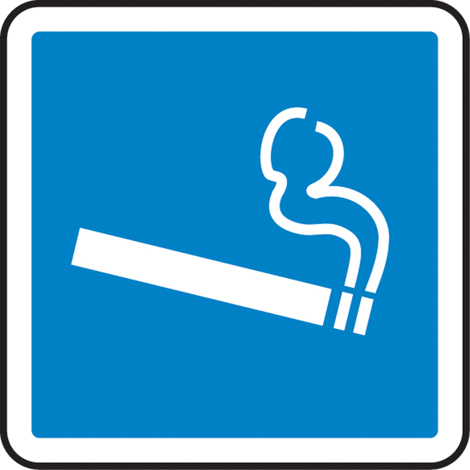 Smoking Section CSA Standard Safety Sign - SEA483