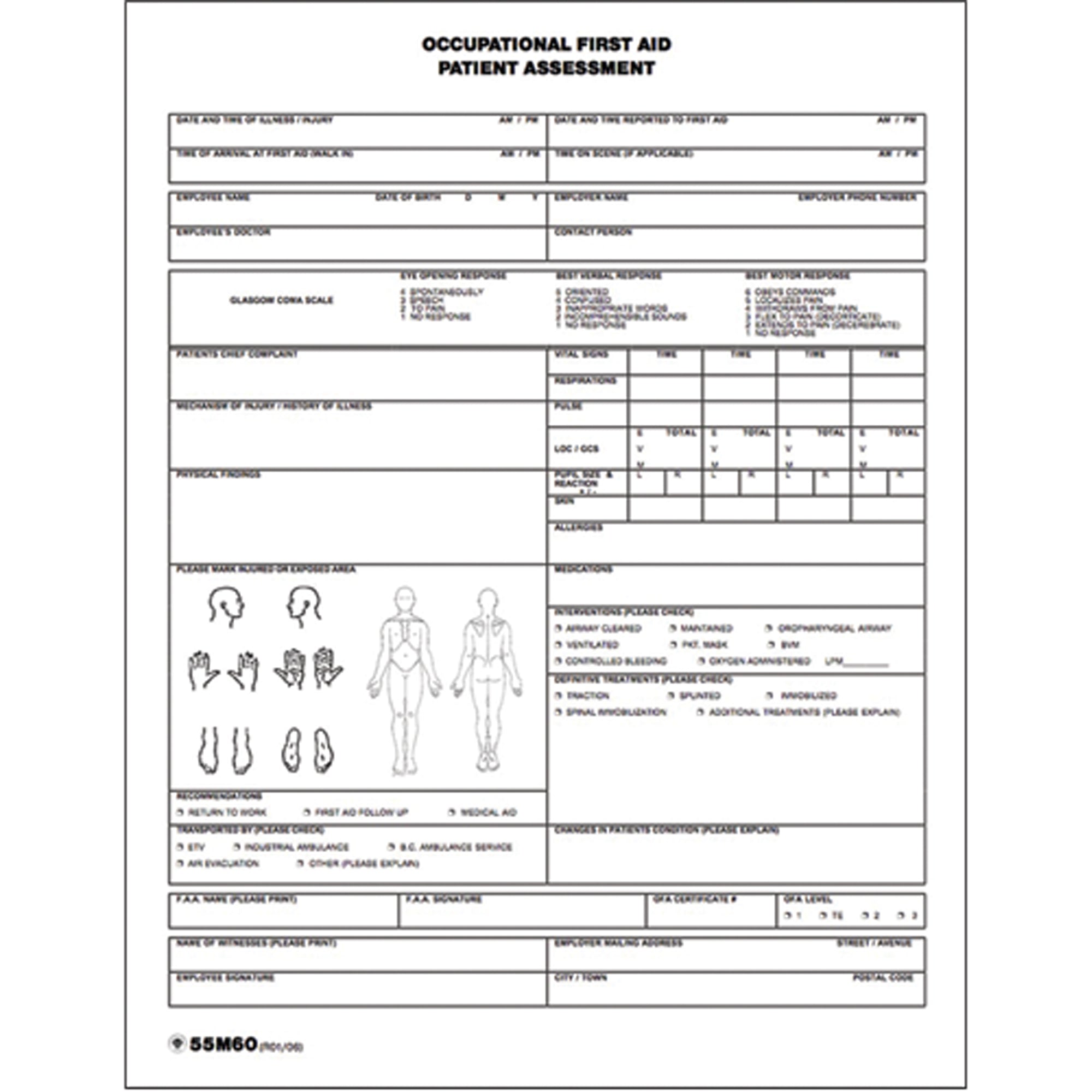 Patient Assessment Chart - SEE693