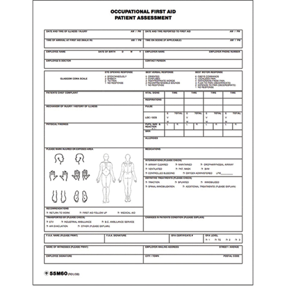 Patient Assessment Chart - SEE693