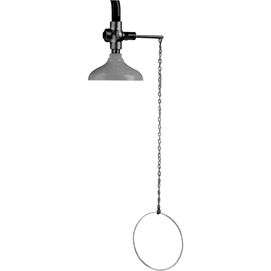 Lifesaver® Emergency Overhead Showers - SF859