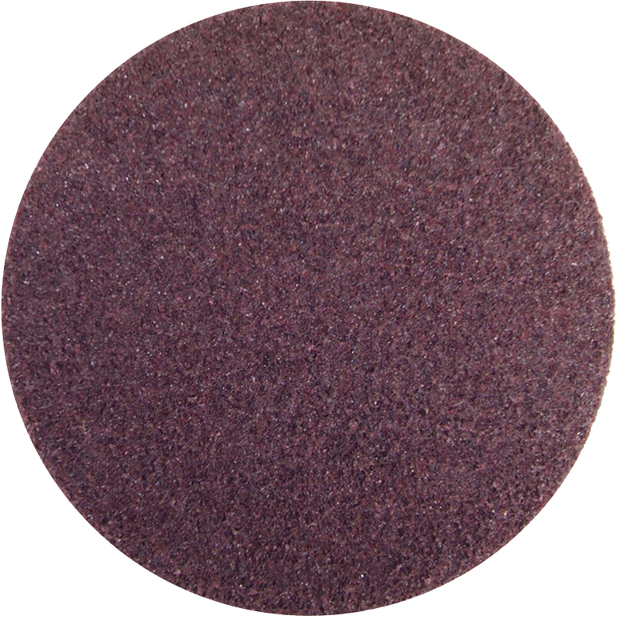 Rapid Prep™ Non-Woven Abrasive Disc - SGT187