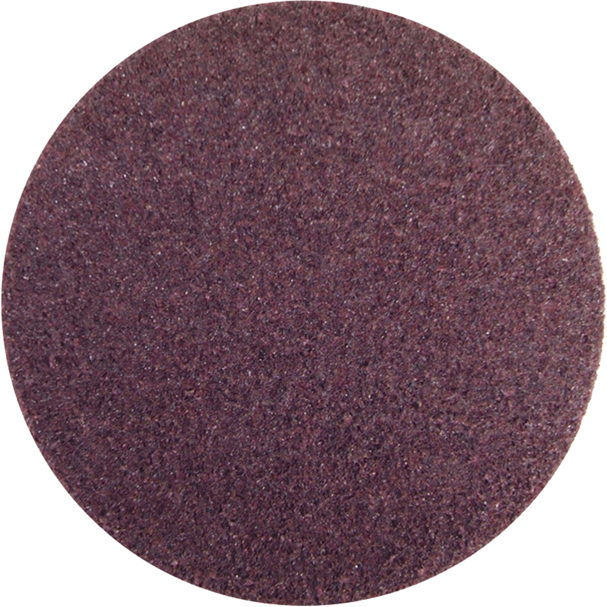 Rapid Prep™ Non-Woven Abrasive Disc - SGT187