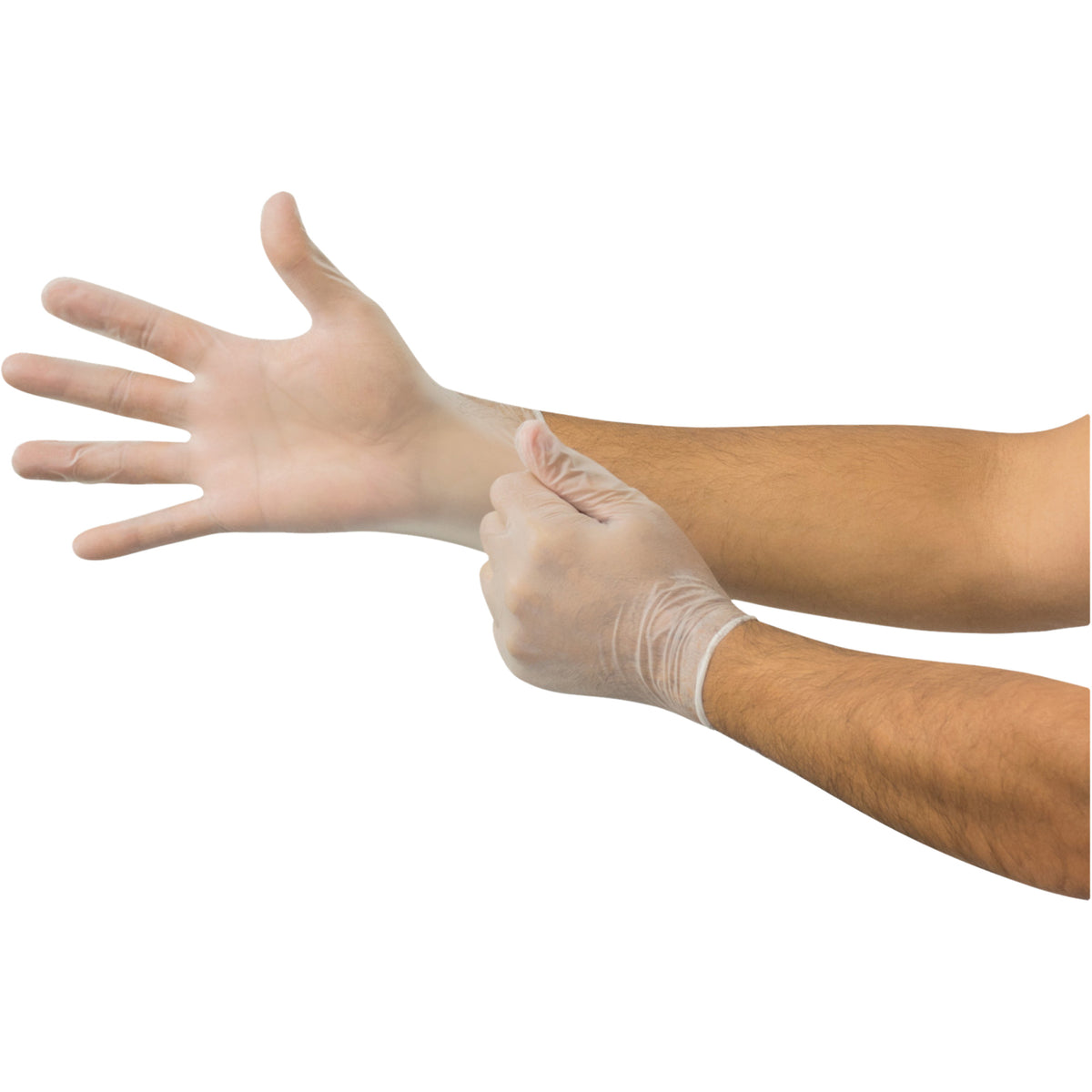 MicroFlex® Disposable Gloves - SGX564