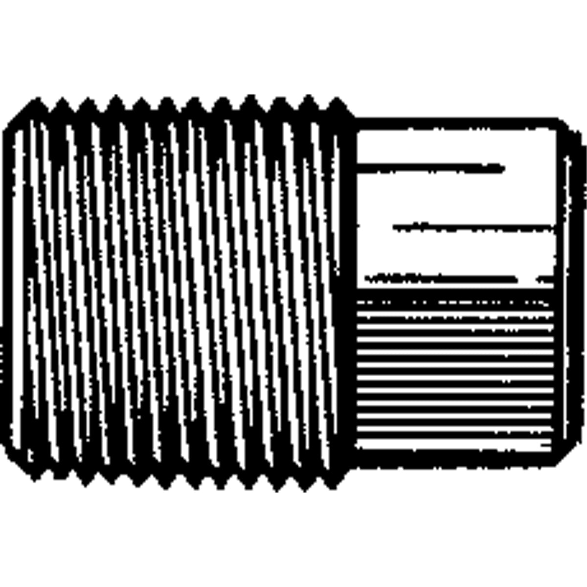 Square Head Pipe Plugs - TBZ288