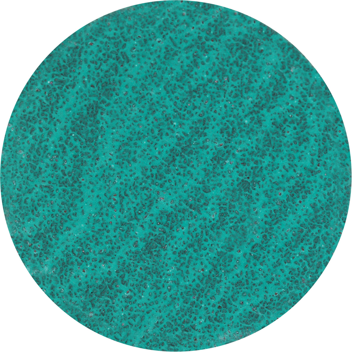 Lock Back Sanding Disc - TCQ927