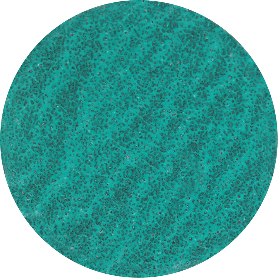 Lock Back Sanding Disc - TCQ927
