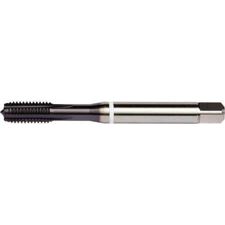 White Shark Straight Flute Tap - TCS841