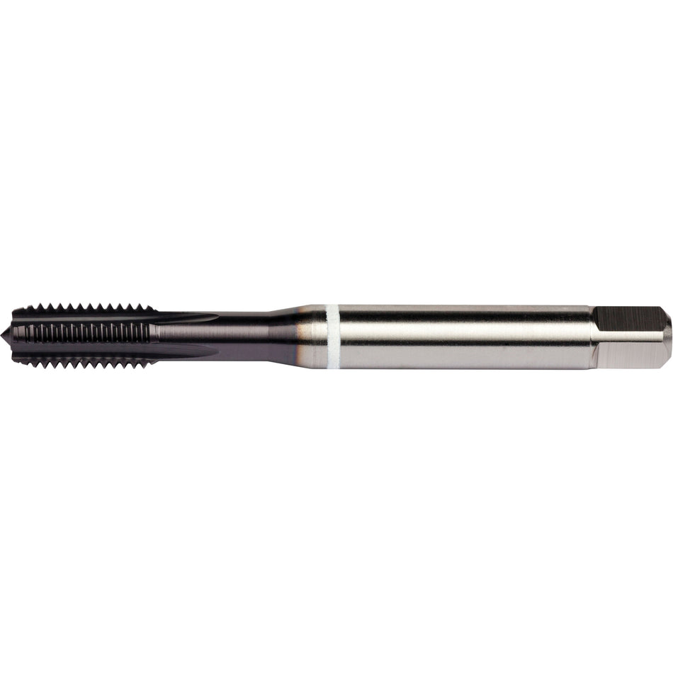White Shark Straight Flute Tap - TCS841