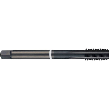 Reduced Shank White Shark Tap - TDM169